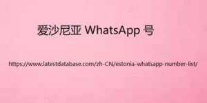 爱沙尼亚 WhatsApp 号码列表